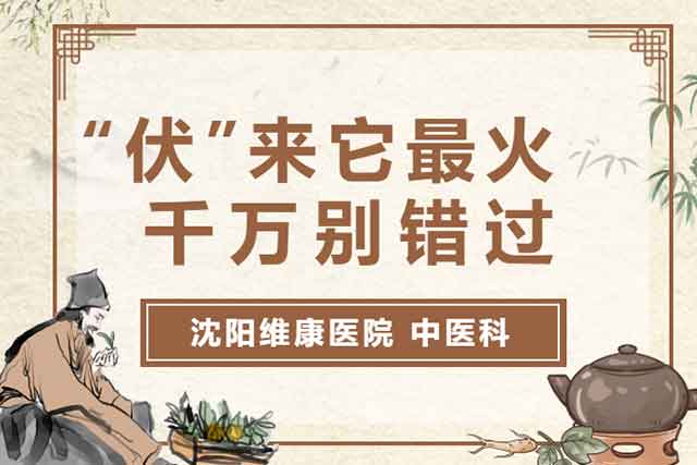 “伏”来它最火  千万别错过！  沈阳维康医院三伏贴即将开贴！