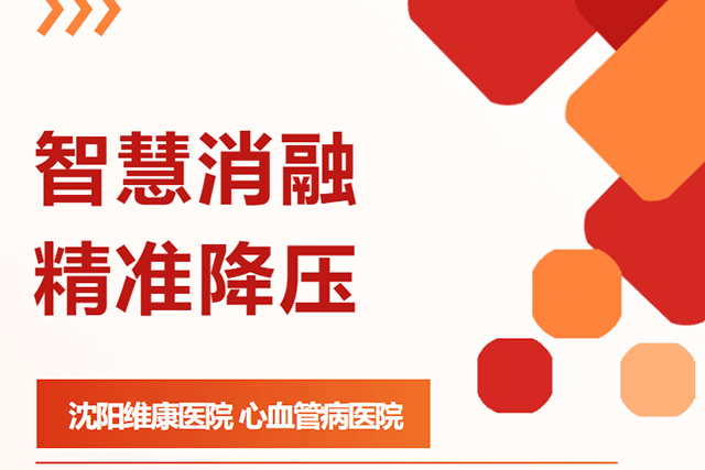 智慧消融 精准降压 |  msRDN 技术为难治性高血压开辟全新路径